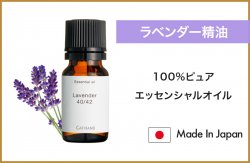 Lavender 40- 42 oil 10ml