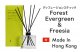 ディフュージョンセット Forest Evergreen&Freesia4本セット
